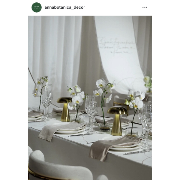 Led светильник «Боле» золотой - Фото 2