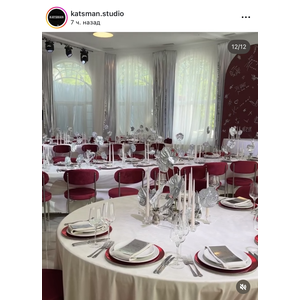 Стул «Тотем» серебряный, бордовый бархат - Фото 2