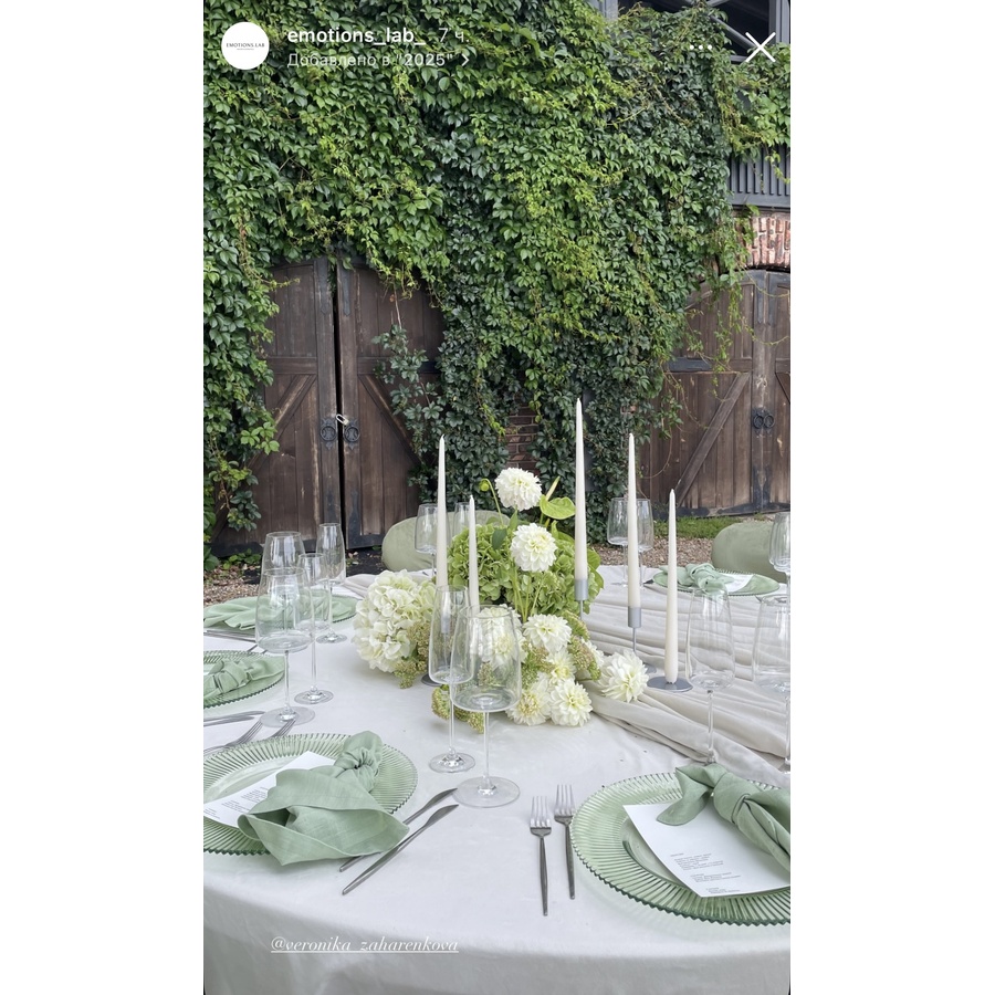 Стул «Тотем» серебряный, пыльно-зеленый бархат - Фото миниатюра 4