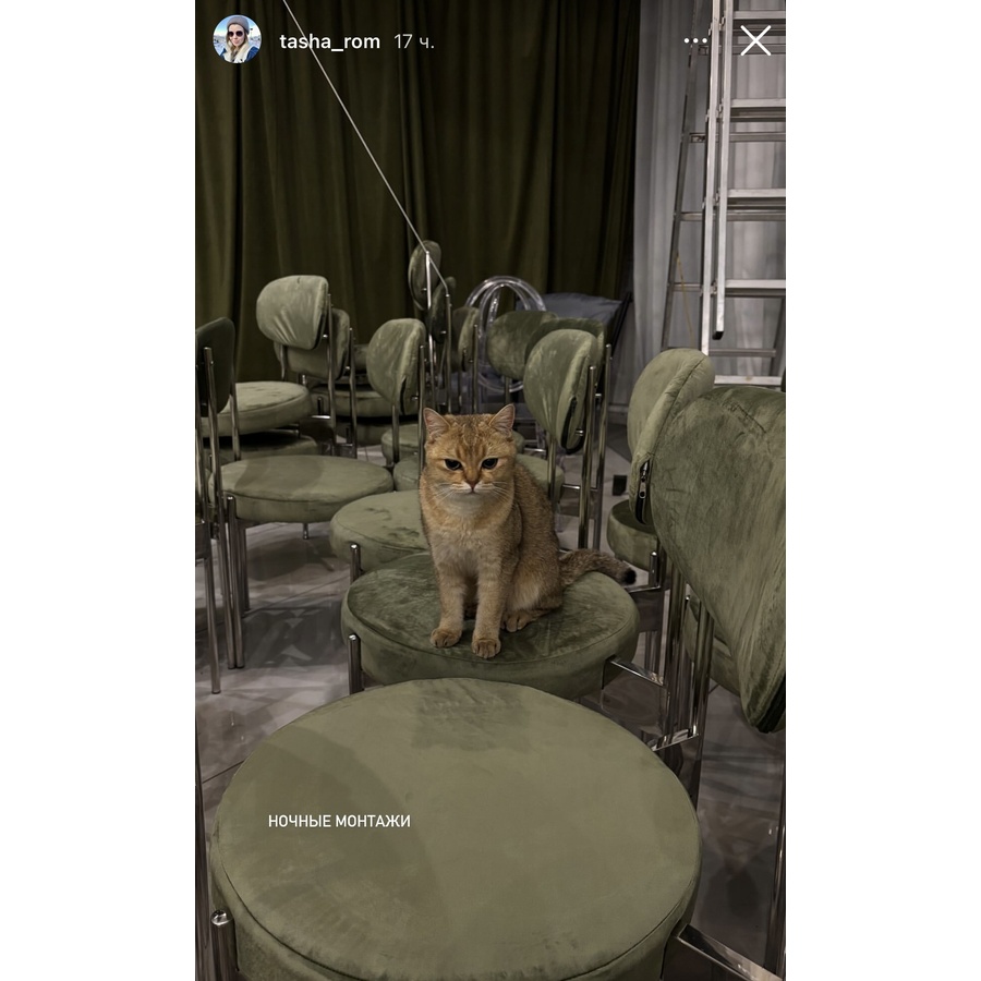 Стул «Тотем» серебряный, пыльно-зеленый бархат - Фото миниатюра 2