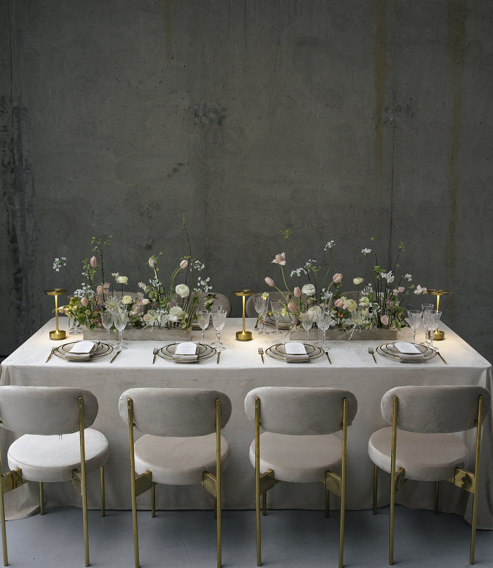 Баннер 3 от Кьявари