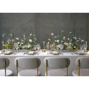 Баннер 2 от Кьявари