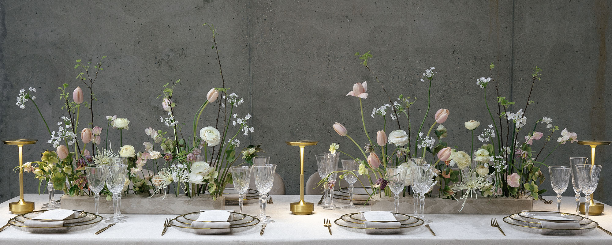 Баннер 1 от Кьявари