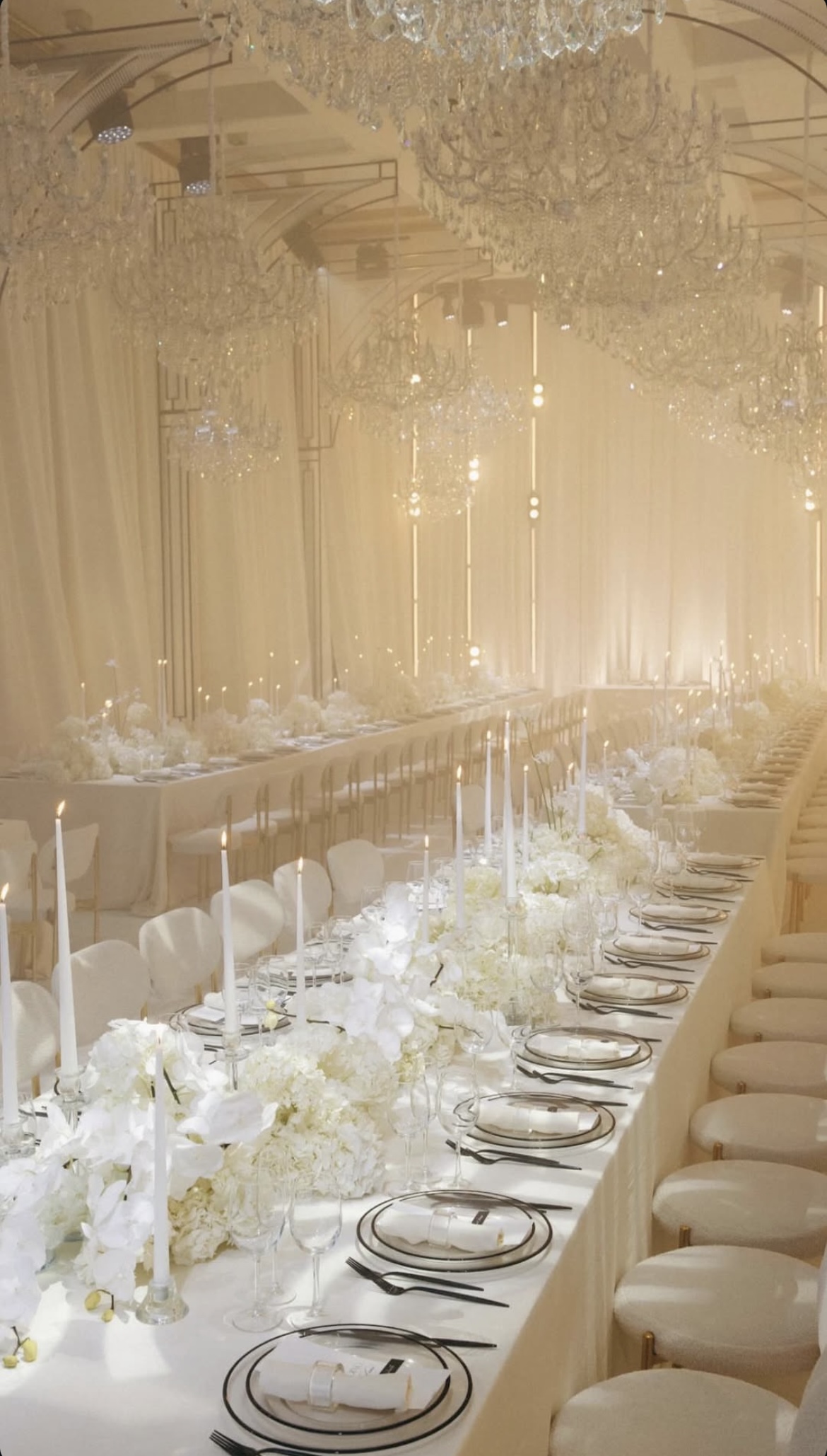 Стул Модерн Золото, Тедди