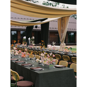 Стул Modern Silver, Natural Rotango + Choco mocca - Фото 3