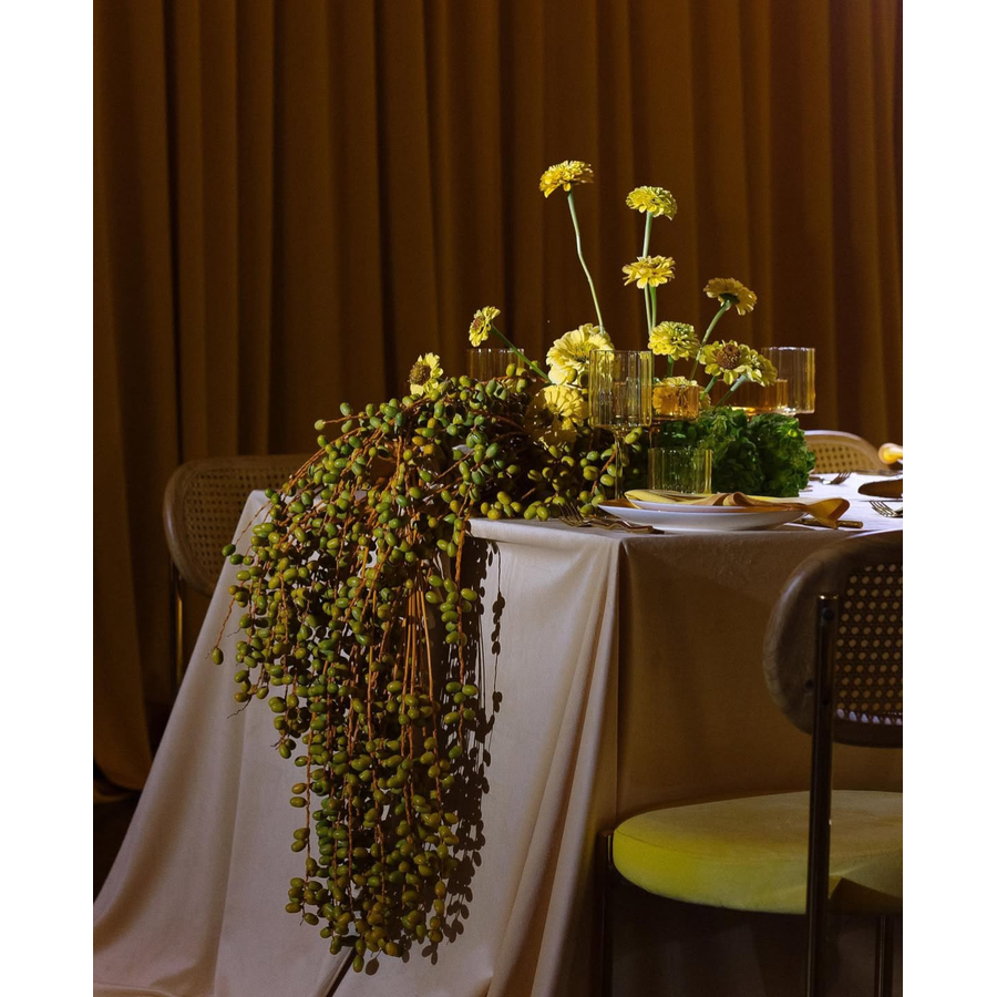 Стул Modern Gold, Natural Rotango + Yellow Submarine - Фото миниатюра 4