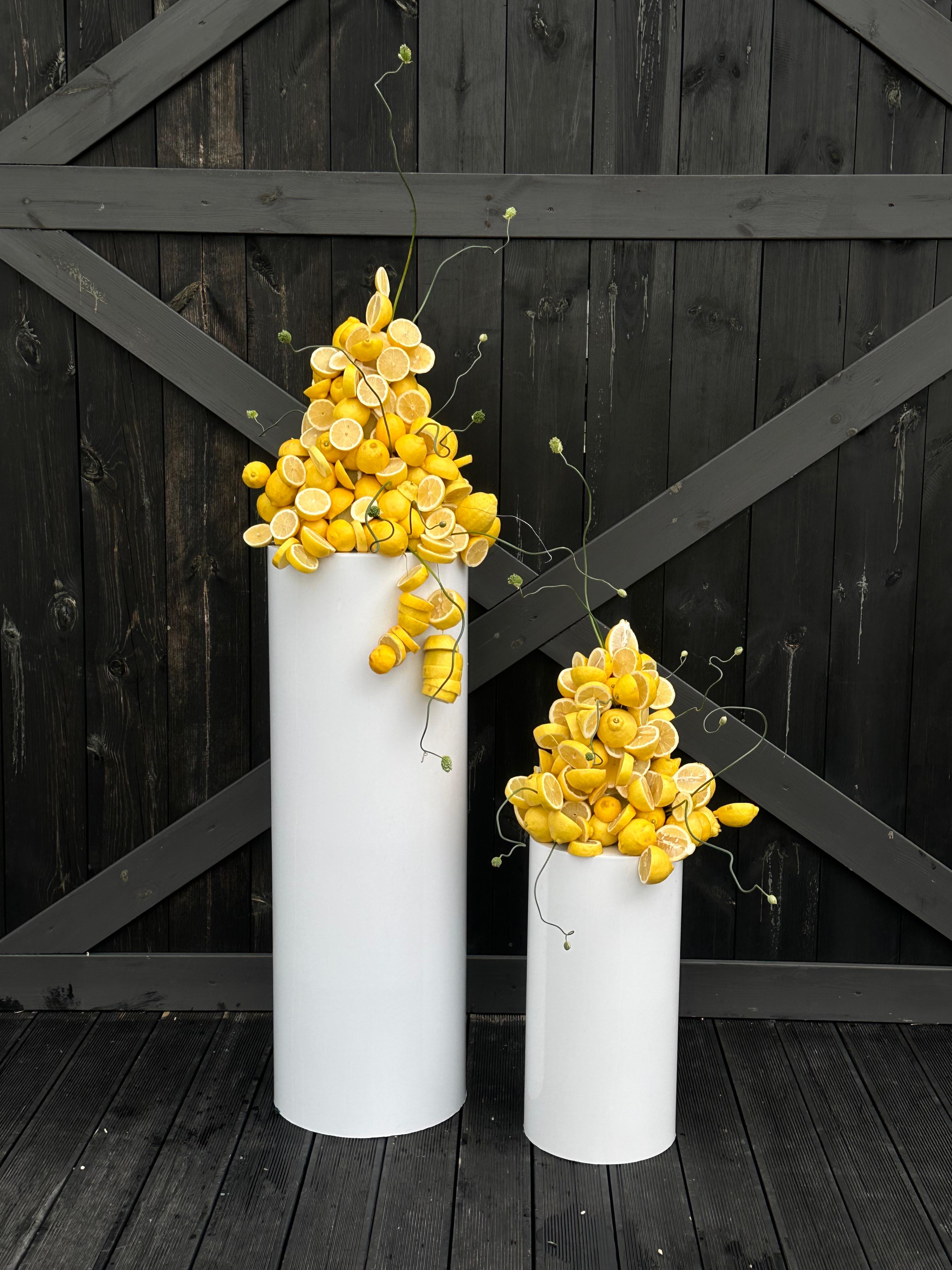 Тубус Л, белый