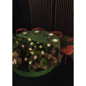 Стул Colorie, Тыквенный тарт + Marigold - Фото 4