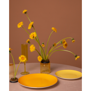 Тарелка PINTONE Цимонная Ледра M - Фото 4