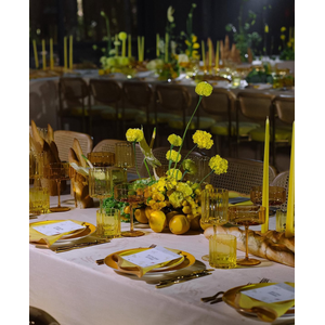 Сет бокалов Squash Этюд в желтом - Фото 4