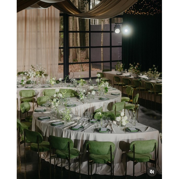 Стул Модерн Золото, Матча - изображение 4