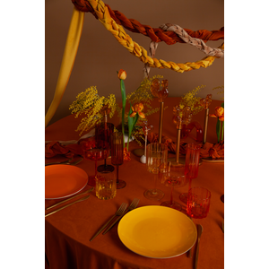 Тарелка PINTONE Цимонная Ледра M - Фото 2