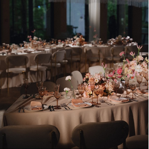 Шампанка Bloomie, Osteospermum - Фото 10