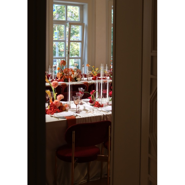 Стул Modern Gold Bordeaux - Фото 2