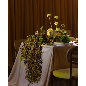 Стул Modern Gold, Natural Rotango + Yellow Submarine - Фото 4