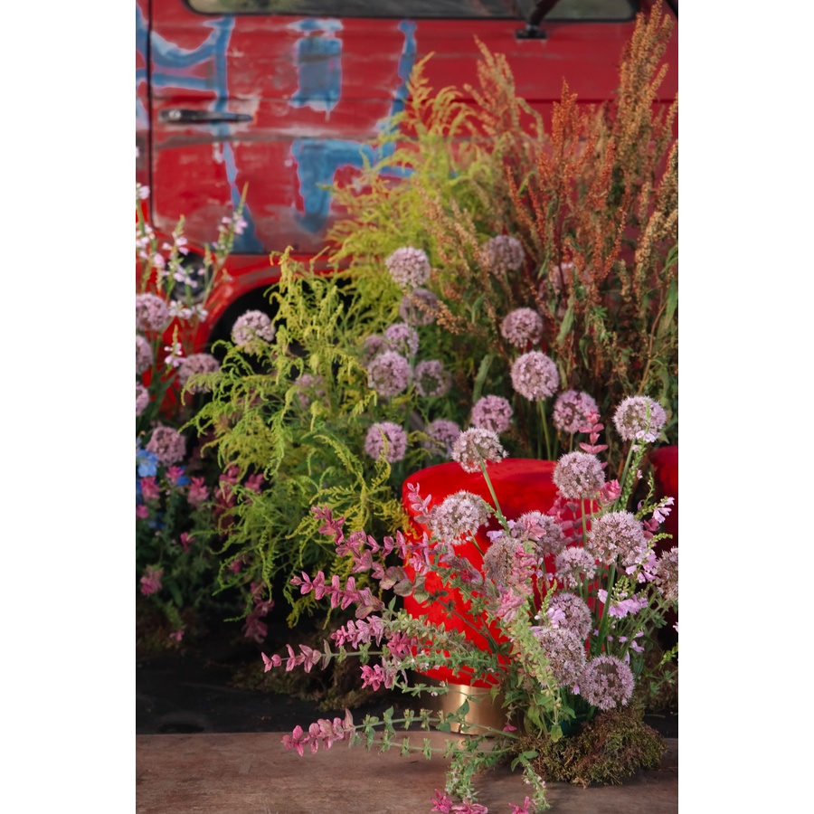 Пуф Gold, passion expression МАЛИНОВЫЙ/КРАСНЫЙ - Фото миниатюра 5