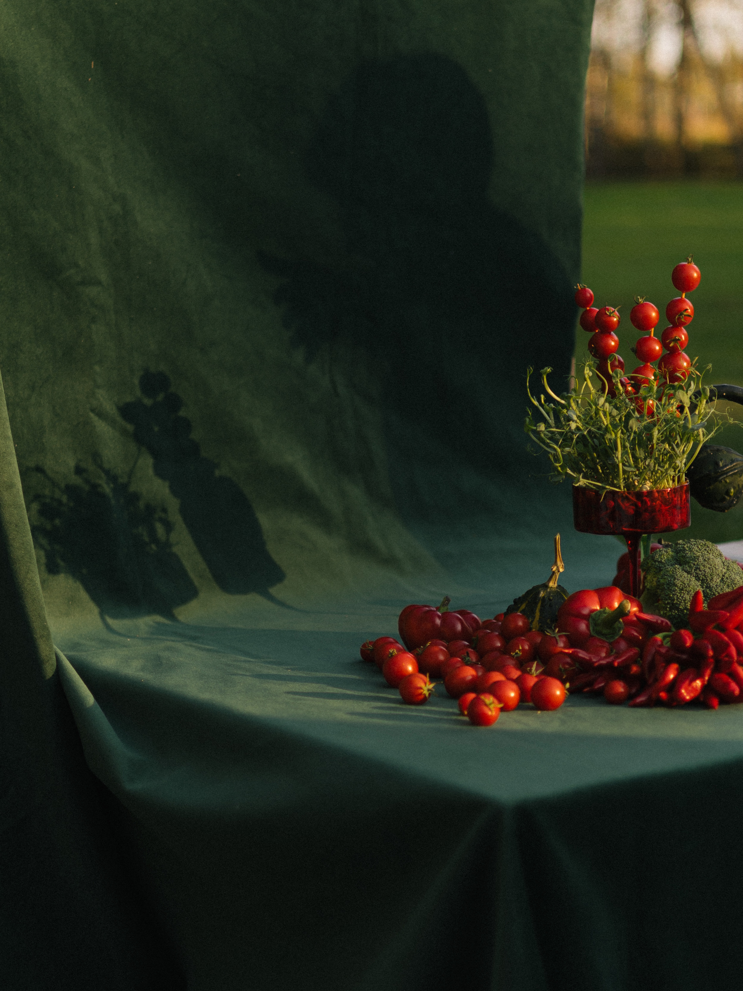 Креманка Сквош Пламя в объятьях