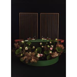 Стул Colorie, Тыквенный тарт + Marigold - Фото 6