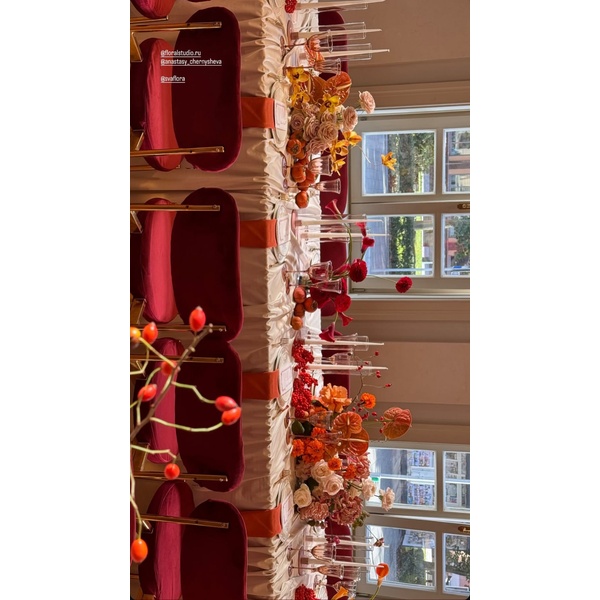 Стул Modern Gold Bordeaux - Фото 3