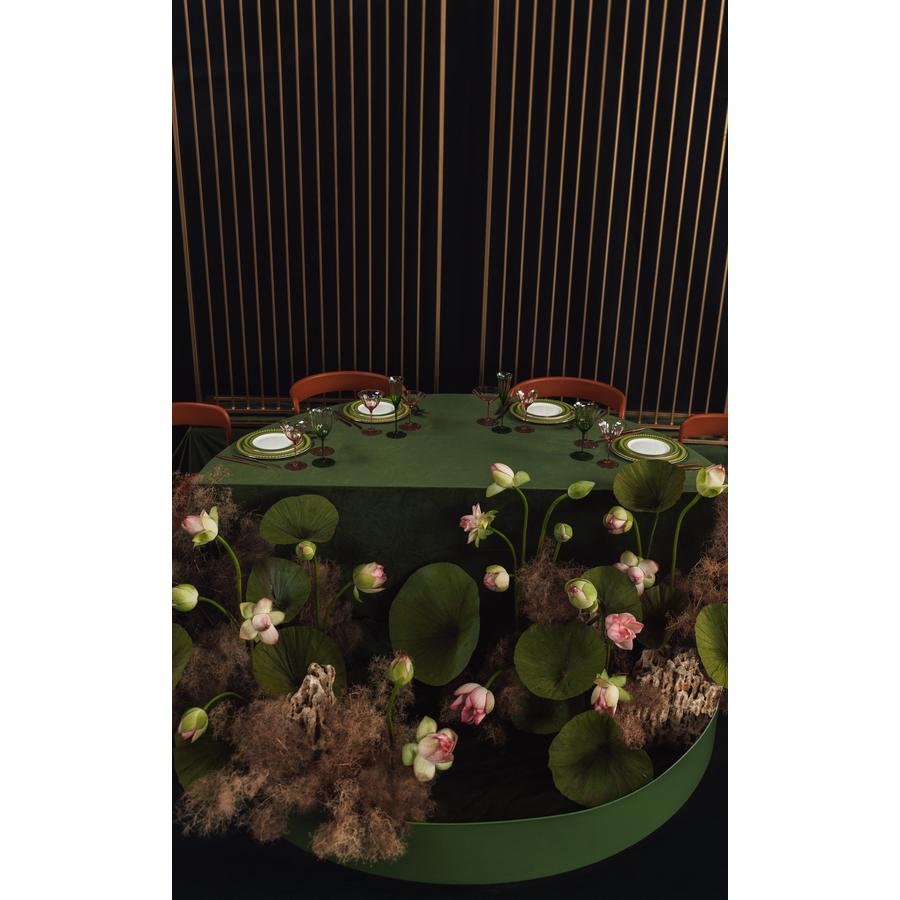 Шампанка Bloomie, Molucella - Фото миниатюра 8