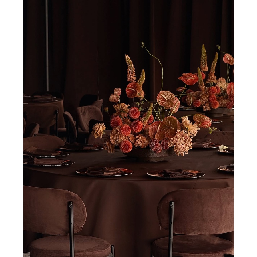 Стул Modern Silver, Choco mocca - Фото миниатюра 5