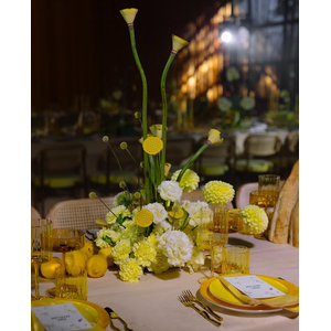 Креманка Squash Цвета утренней звезды - Фото 5