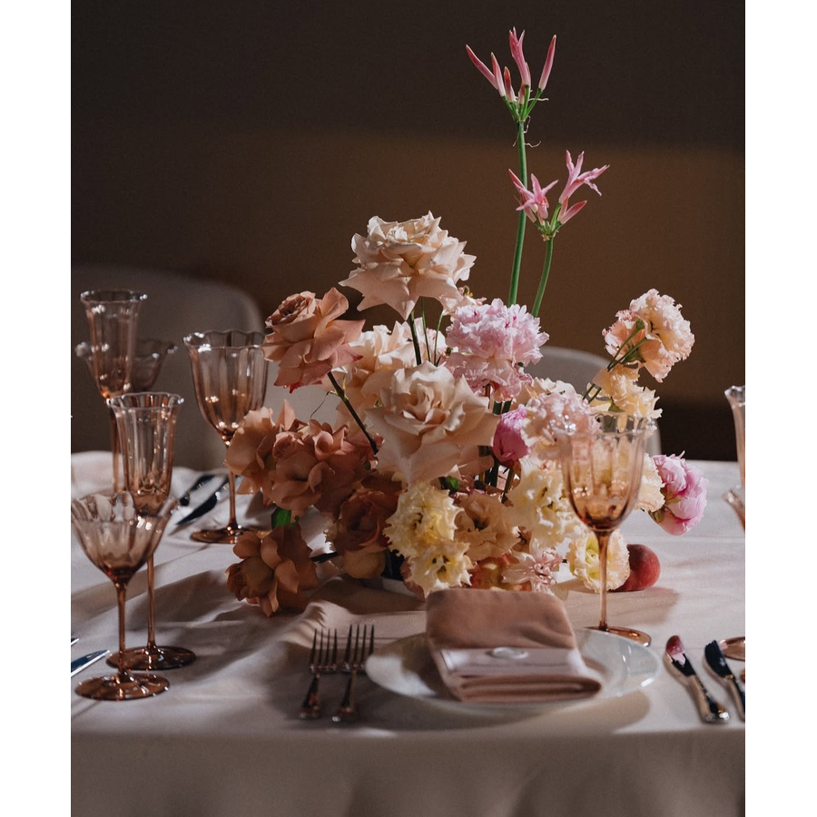 Шампанка Bloomie, Osteospermum - Фото миниатюра 3