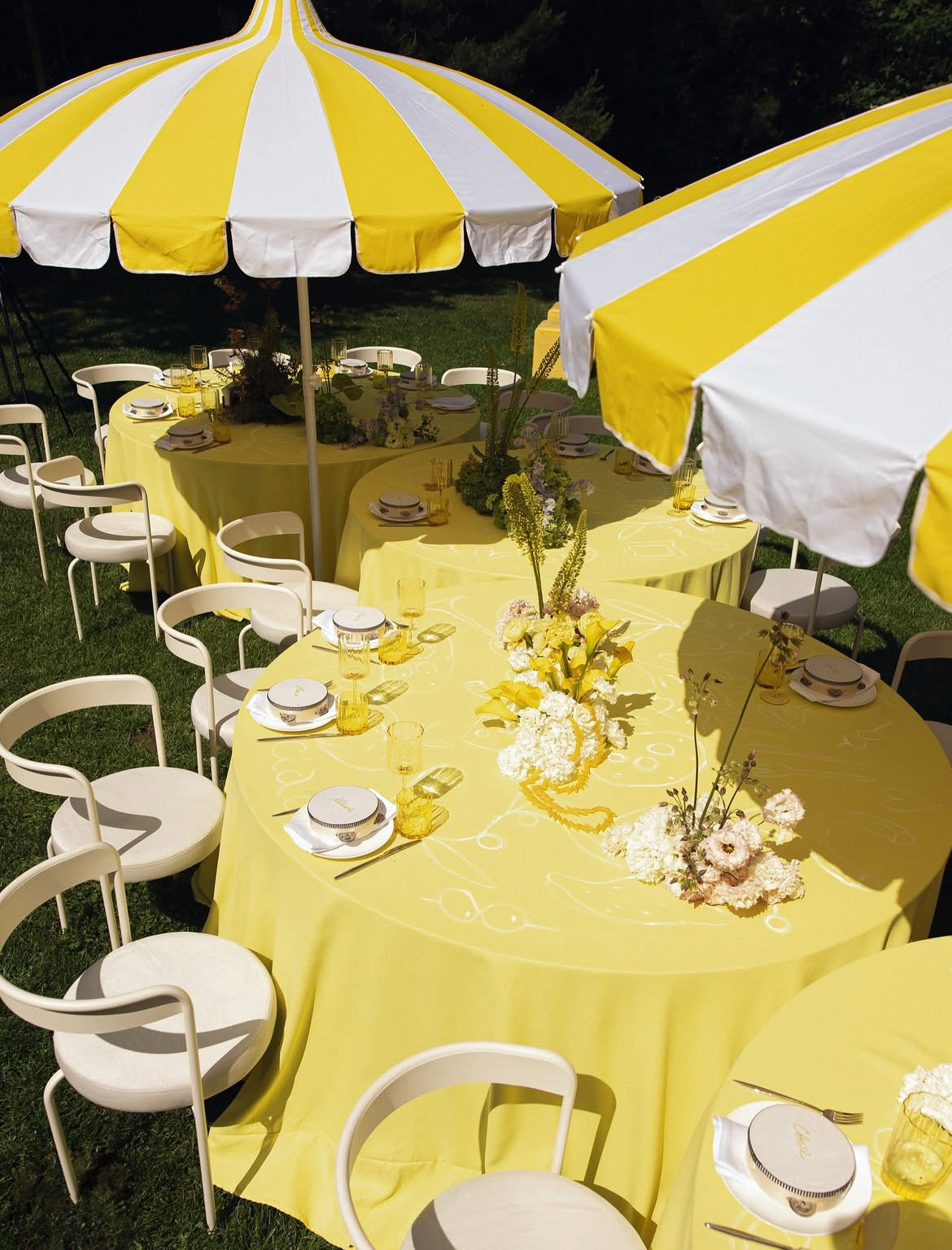 Стакан Сквош Желтые тюльпаны