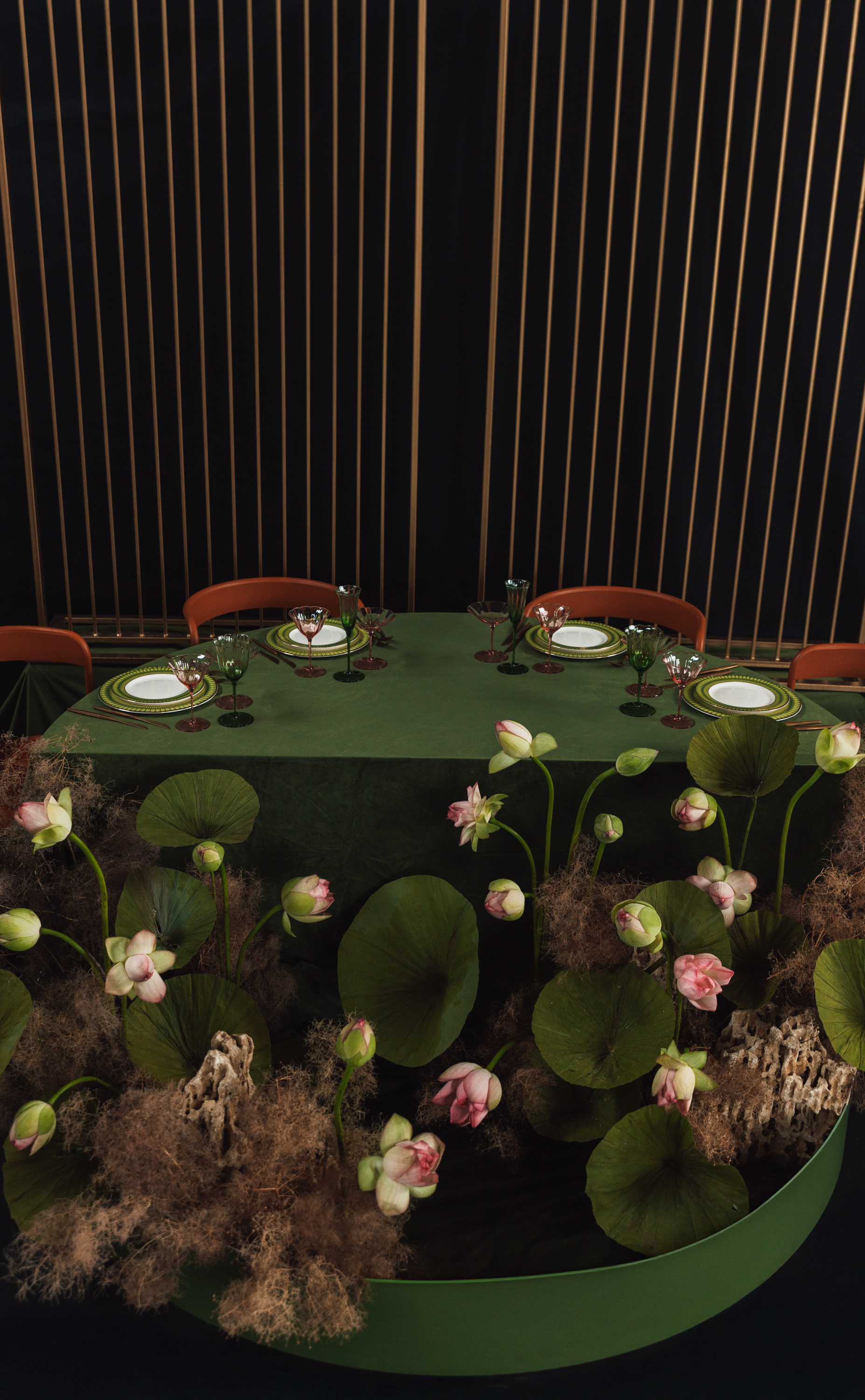 Шампанка Блуми Молюцелла