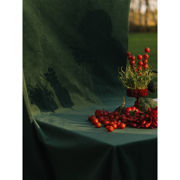 Креманка Сквош Пламя в объятьях - изображение 9