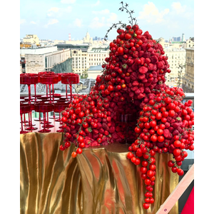 Креманка Squash Пламя в объятьях - Фото 4