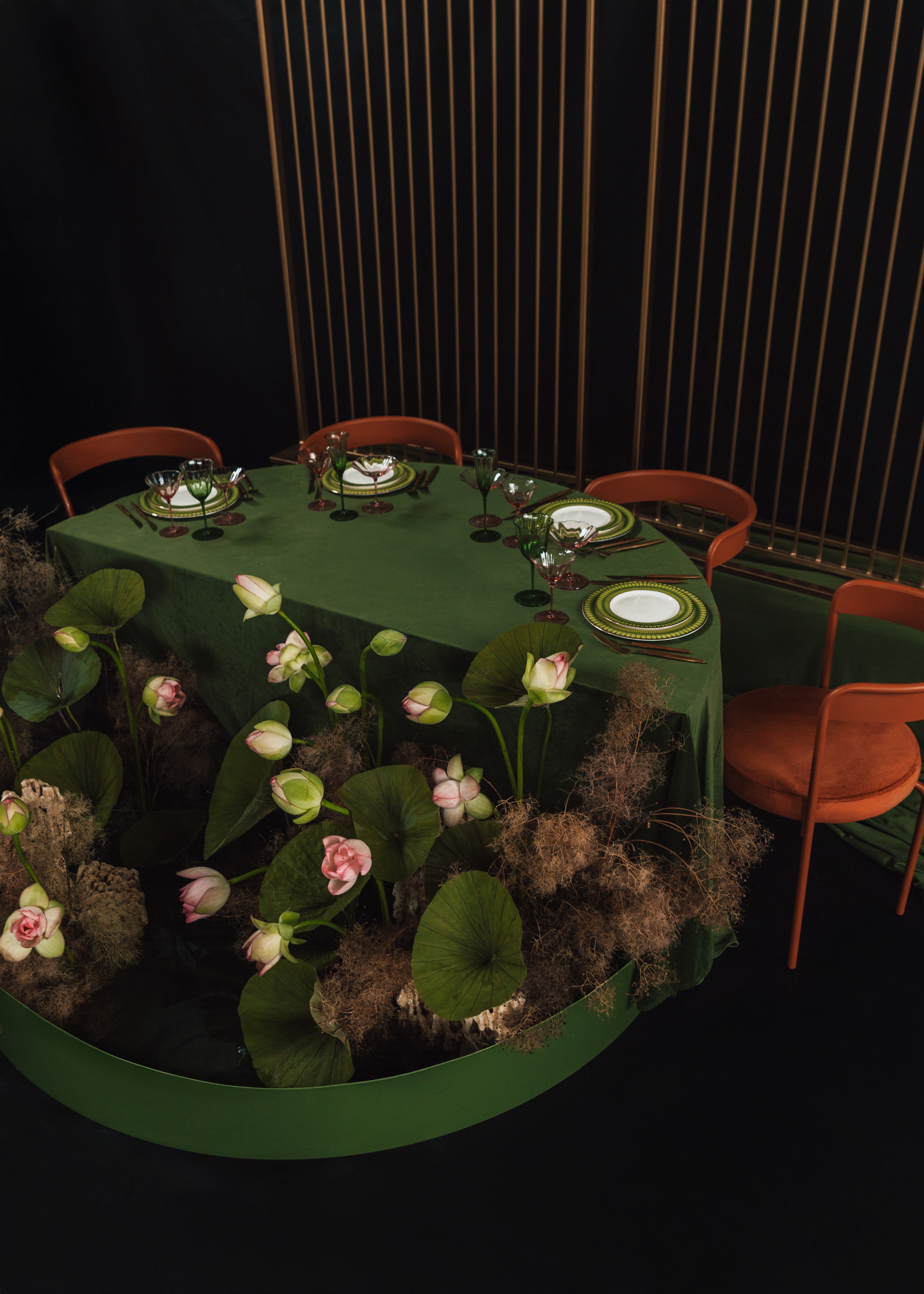 Шампанка Блуми Молюцелла