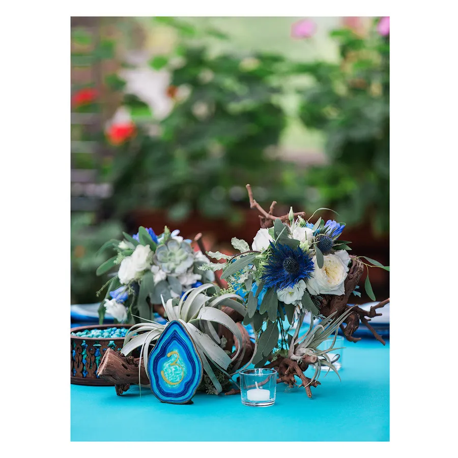 Коряга «Вильфор» - Фото миниатюра 2