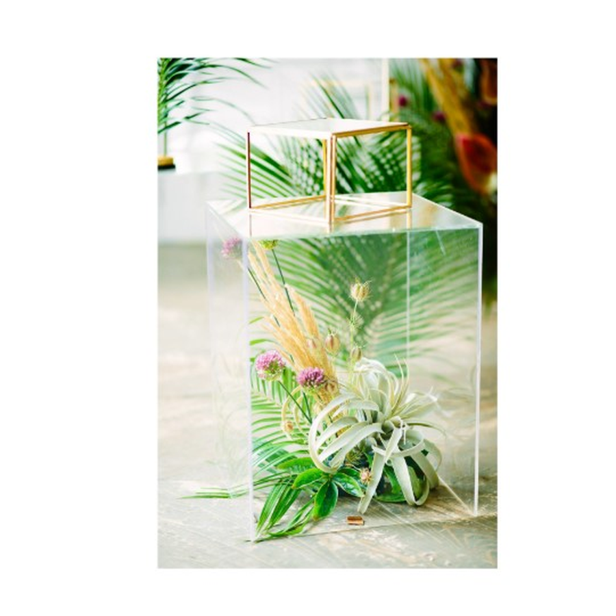 Прозрачный куб "Немо" - Фото миниатюра 2